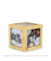 Preview: Die Bambus-Variante des Memori Cubes (909M) zeigt eine feine, linierte Holzmaserung. Die Urne kombiniert das nachhaltige Material mit fünf Glasfenstern für Fotos und bietet eine samtige Haptik für ein würdevolles Gedenken